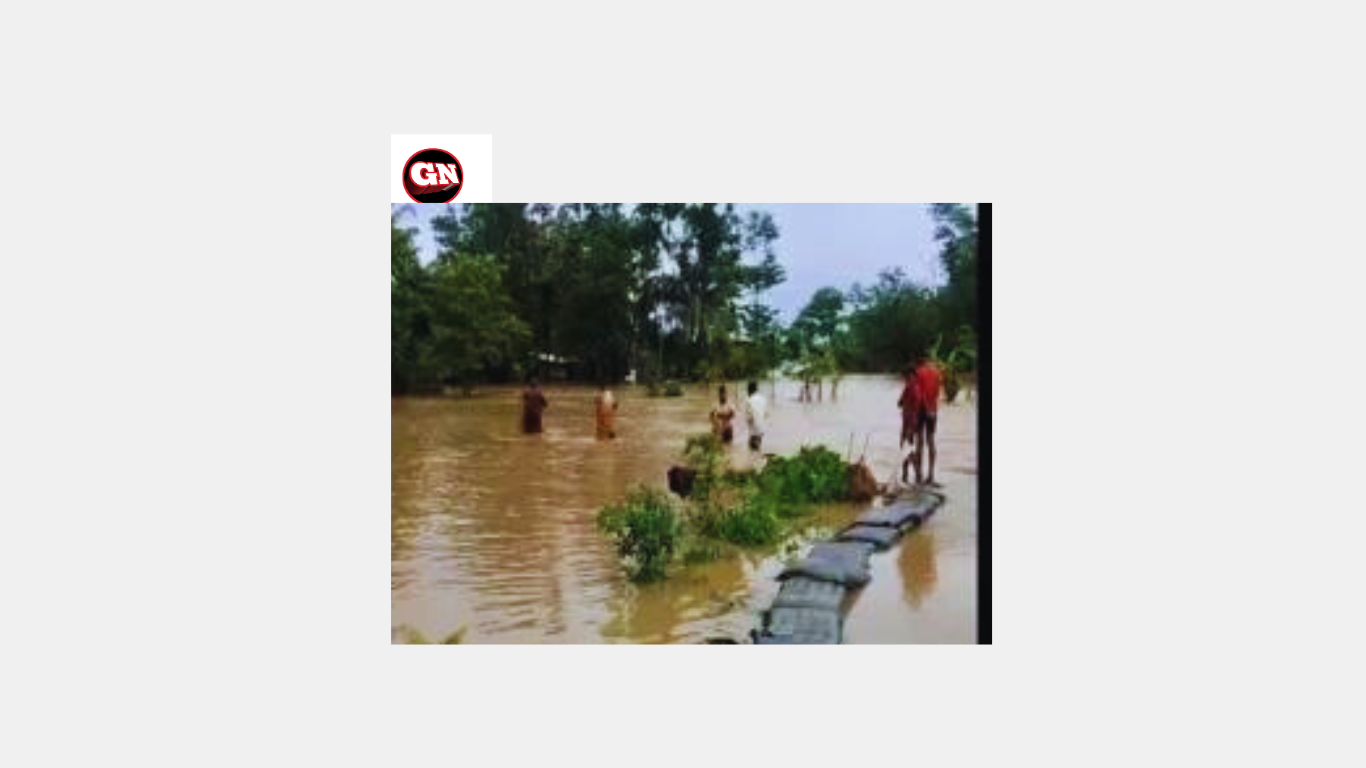  floods in Assam